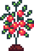 3_Fruit_edited_edited.png