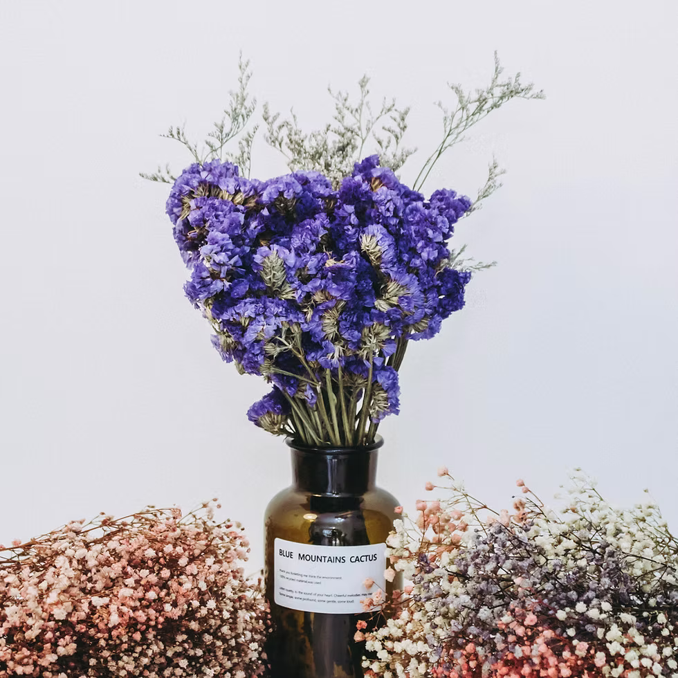 BOTANISTS’ JARS