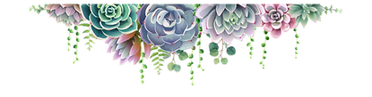 Succulents