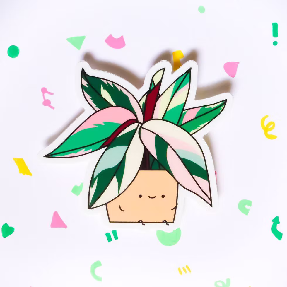 STROMANTHE, VINYL STICKER