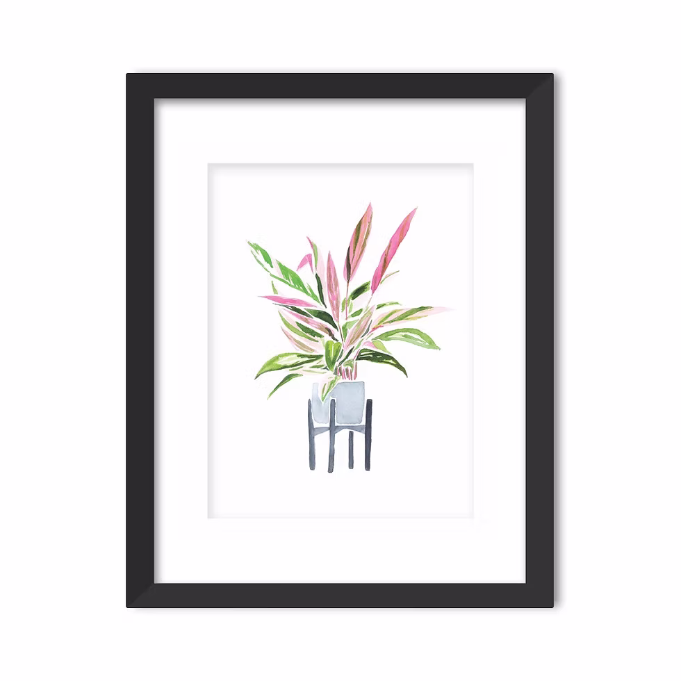 STROMANTHE WATERCOLOR ART PRINT