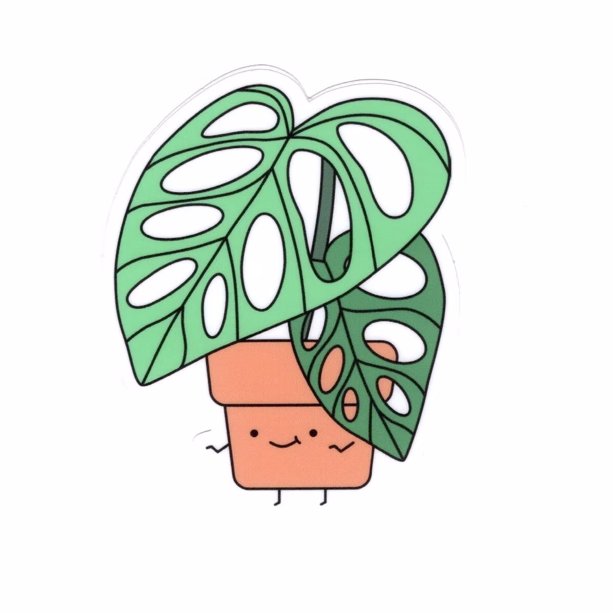 MONSTERA ADANSONII, VINYL STICKER