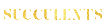 Gold-Foil-Background.png